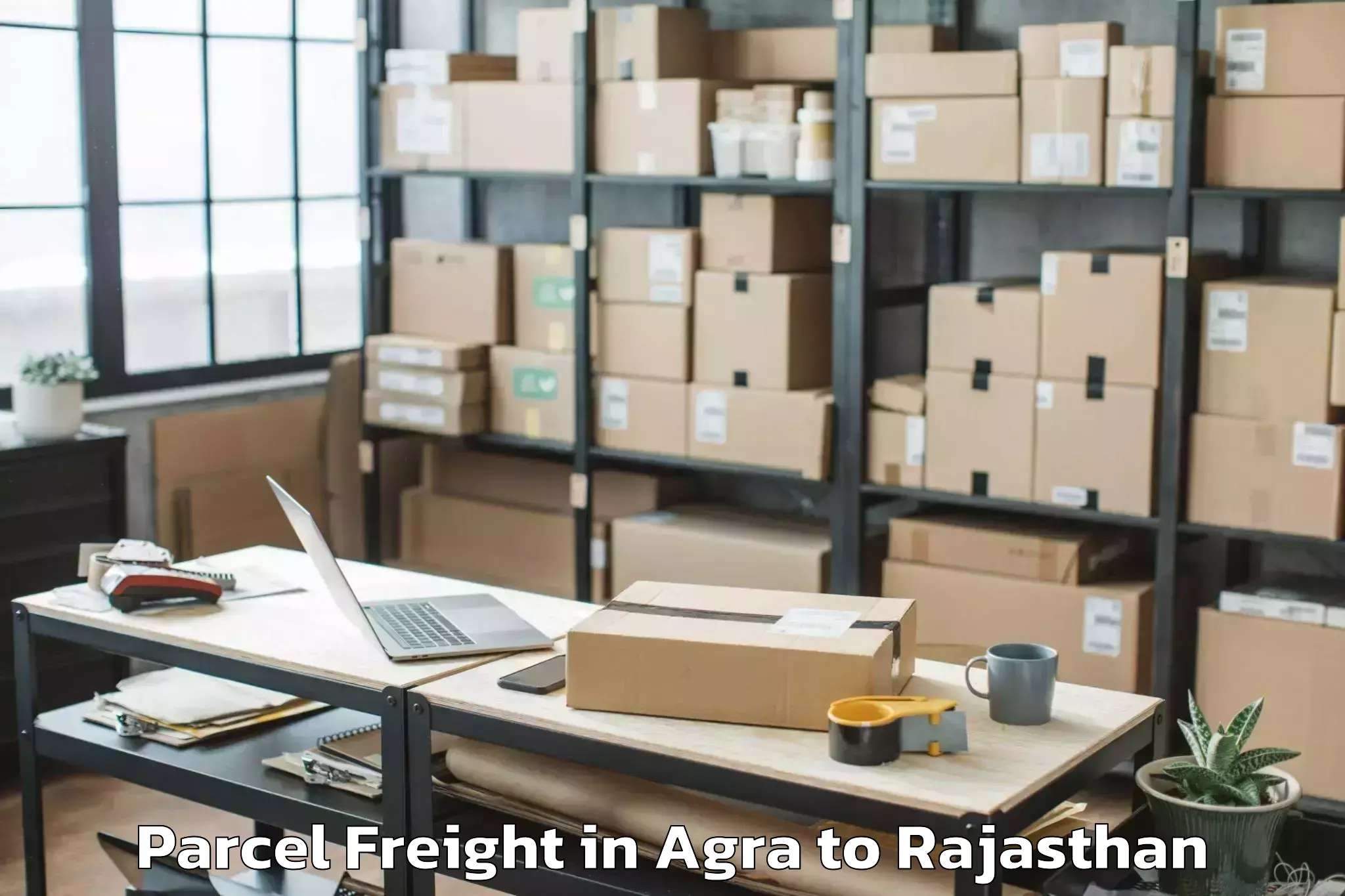 Easy Agra to Karauli Parcel Freight Booking